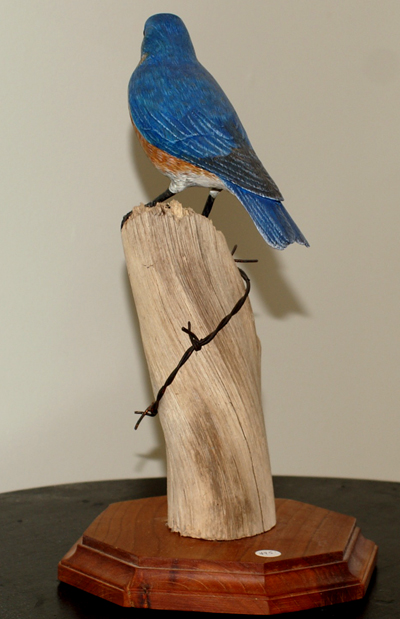 Back View of Blue Bird